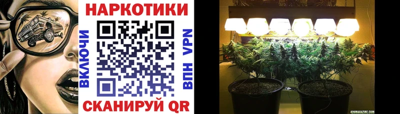 Наркошоп купить Бутират  КОКАИН  ГАШИШ  НБОМе  Бошки Шишки  Амфетамин  Меф мяу мяу  Камышин