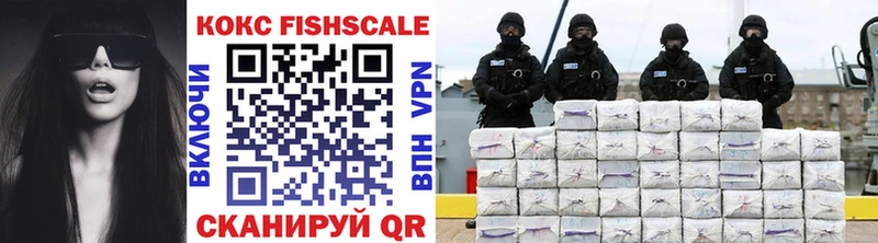 Кокаин FishScale  Купить где  Камышин 