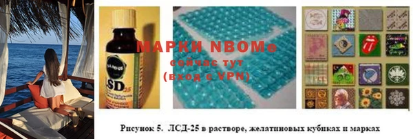 соль ск Белокуриха