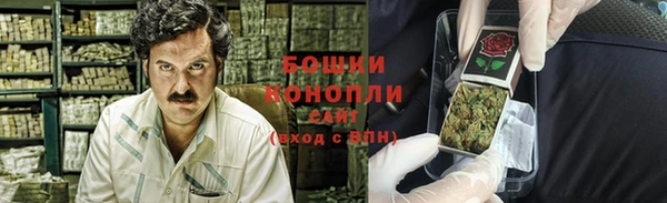 соль ск Белокуриха