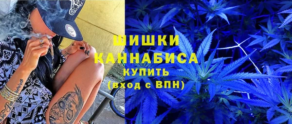 соль ск Белокуриха