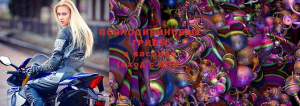 соль ск Белокуриха