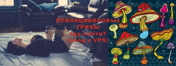 соль ск Белокуриха