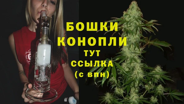 соль ск Белокуриха